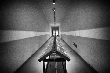 _DSC4180