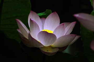 荷2