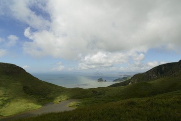 _DSC2100.jpg