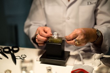 _DSC8914