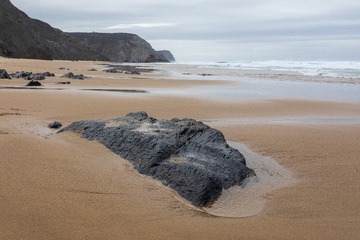 L1001572