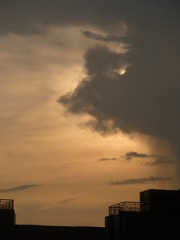 D935D89A-6534-46E9-A423-01679E27E82B/L0/001