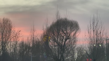B3449545-9E28-43CF-B596-24128A8B6691/L0/001