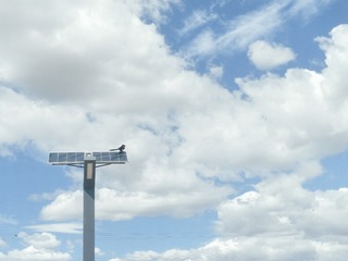 49811
