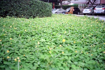Scan-120903-0005.jpg