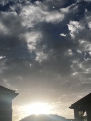 5661194