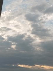 5636038