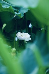 326F2D12-E1EB-41C4-9B49-CF6B3CB596D7/L0/001