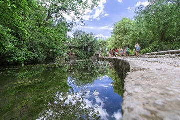 IMG_9667-1-1