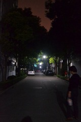 DSC_0309.JPG