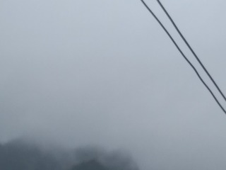 42815