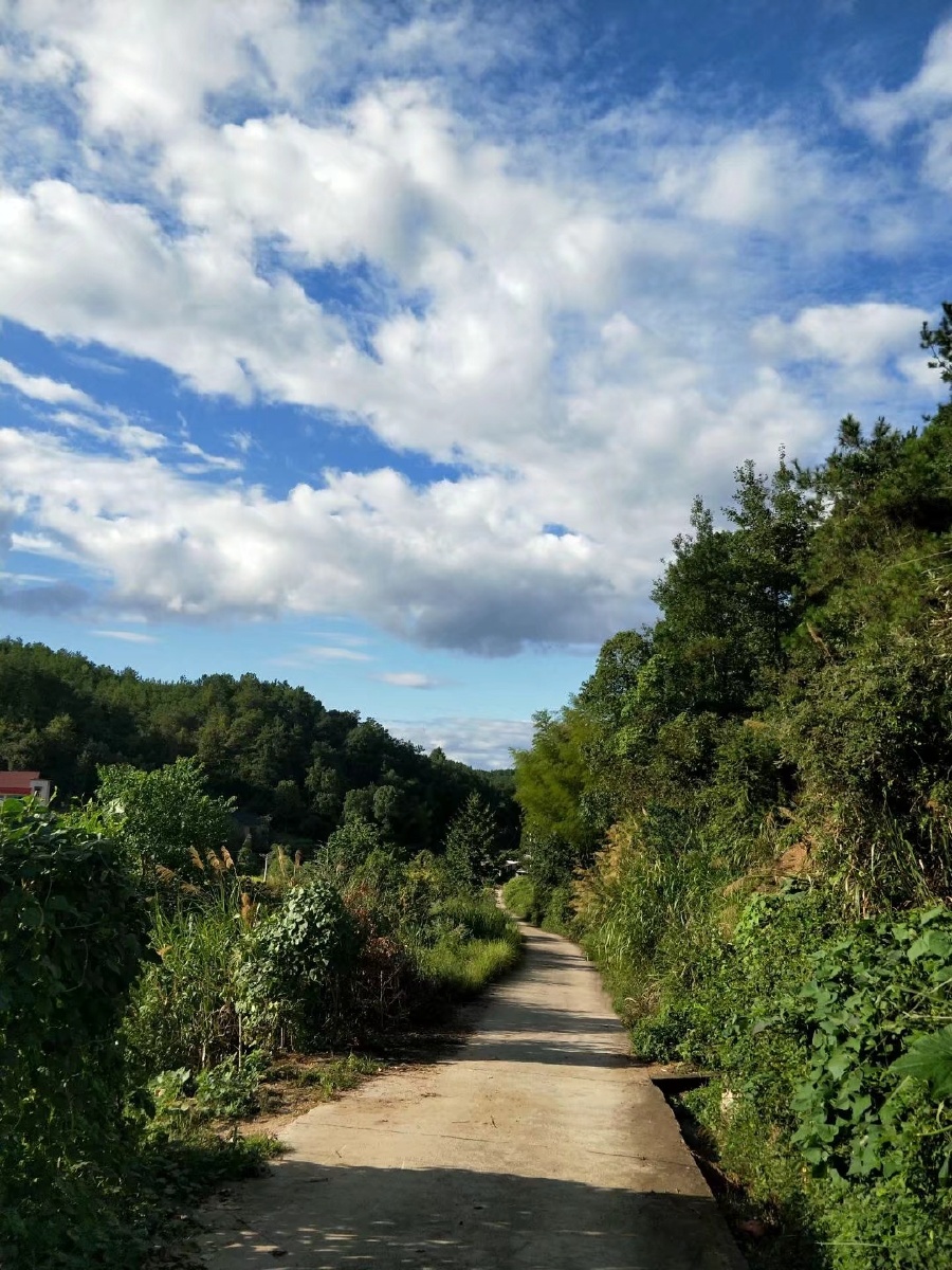 我的世界不能没有你