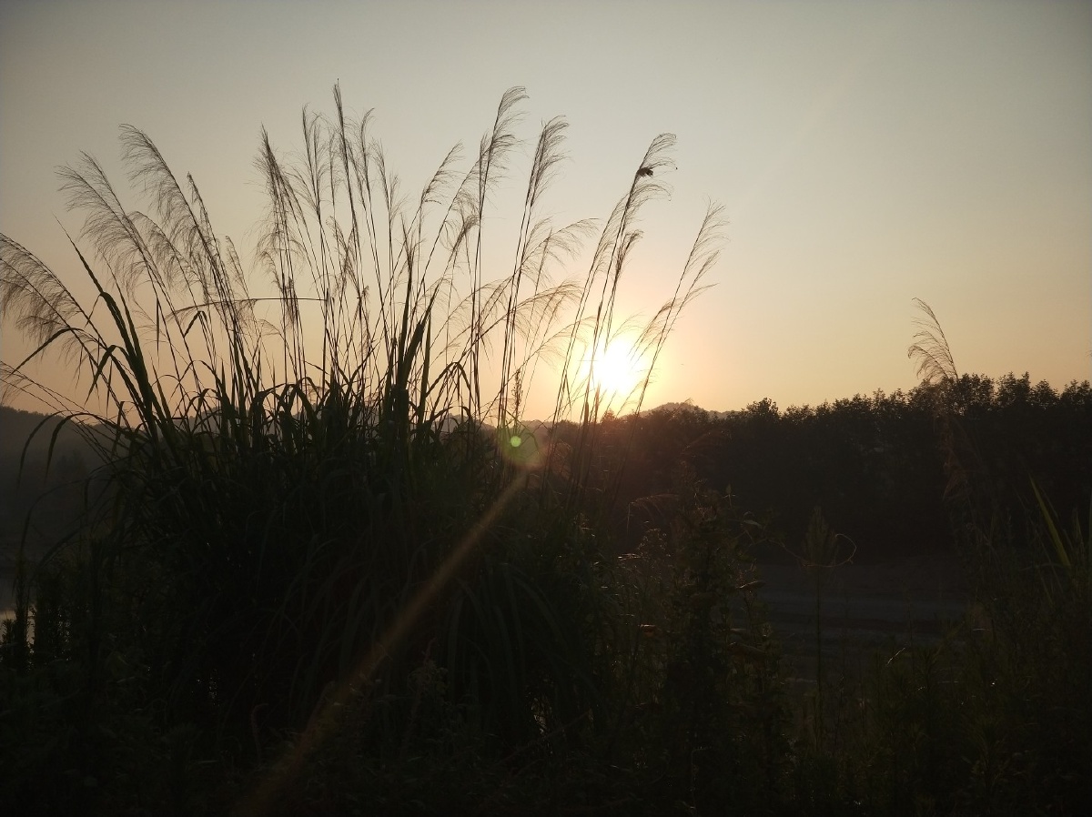 我的世界不能没有你