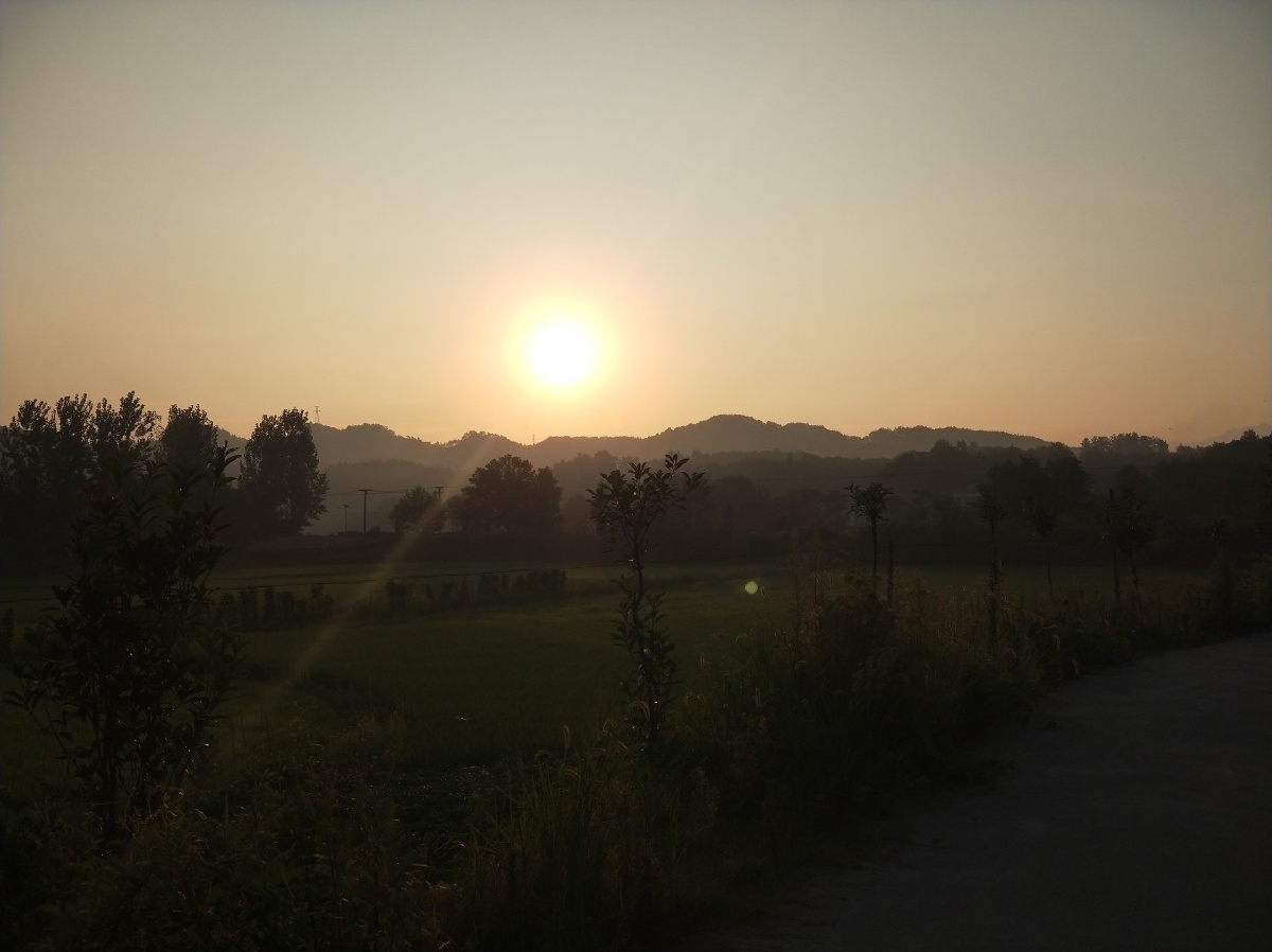 我的世界不能没有你