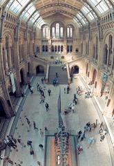 Natural History Museum_LR.JPG