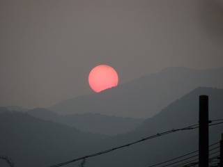 46CC2B3E-C2E7-48A4-98F0-A47B8B269677/L0/001