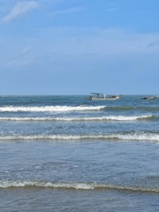 5F207156-55E6-46B0-A66F-7E82A77B36CE/L0/001