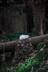001