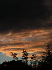 ADF2726D-A5F2-41F8-B3D5-C4BCE441EDE0/L0/001