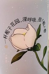 4963C2F8-FC31-46FF-9200-912DA9D056E5/L0/001