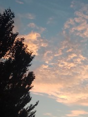 2247CCE0-E0F4-4D82-97E5-D54CEC6D520B/L0/001