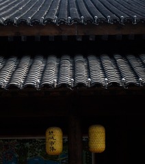 1000010406