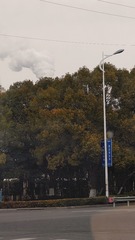 1000036811
