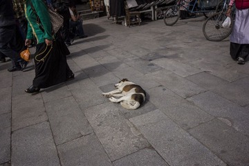 IMG_4804.jpg