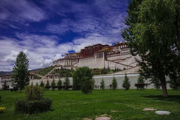 IMG_5417.jpg