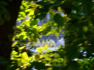 82F97E0D-8B11-45A3-B011-3D7DC624F406/L0/001
