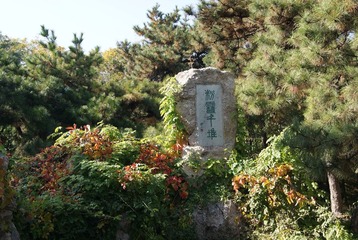 DSC06790.JPG