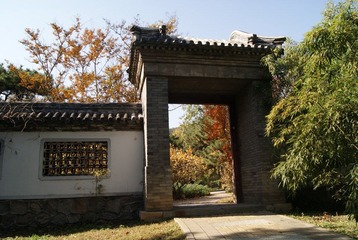 DSC06798.JPG