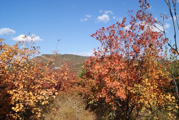 DSC01485.JPG
