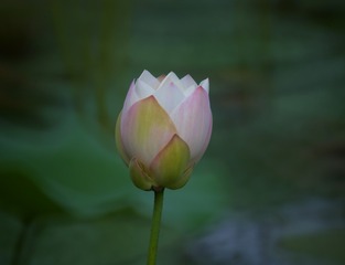 1000036845