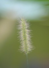 1000040457