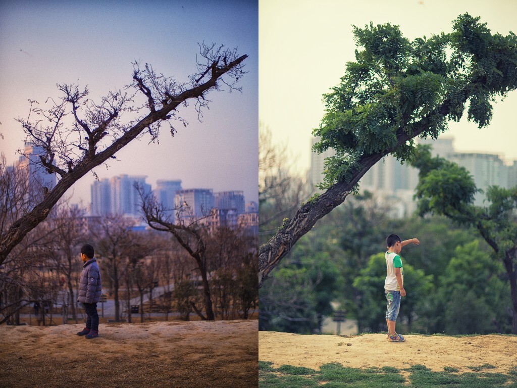 时光流转，四季变幻。感谢你们出现在我的镜头里，期待下一个季节，下一次惊喜。