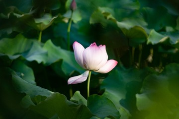 A9581188-F567-4538-A570-1C6122D0E7D1