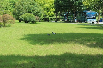 31F11EA5-ACD5-42E3-998E-87D8645E21A5/L0/001