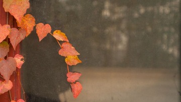 _DSC1076.jpg