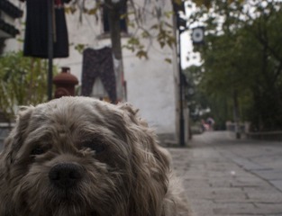 DSC09664.JPG