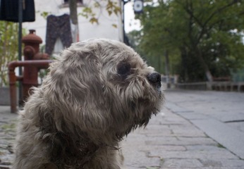 DSC09665.JPG