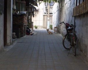 DSC09668.JPG