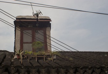DSC09679_1.JPG