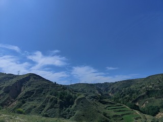 1000035164