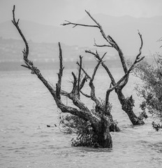 DC80D591-9C1D-445D-9B3D-52EF0187596F/L0/001
