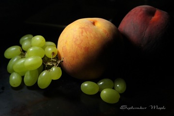 448 DSC07000