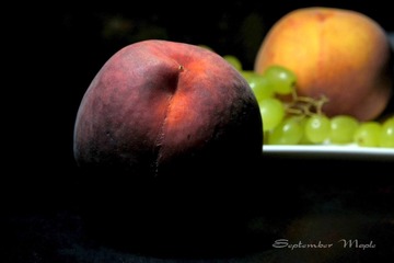 452 DSC07001