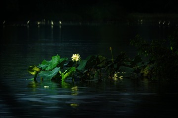 DSCF7526.jpg1