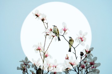 DSCF3291.jpg2