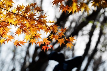 D25F380C-9D83-488A-98ED-9DF80C158953/L0/001